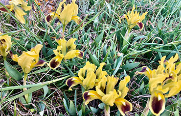 Где отдохнуть в мае в Судаке фото